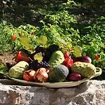 Bed & Breakfast La Piccola Oasi