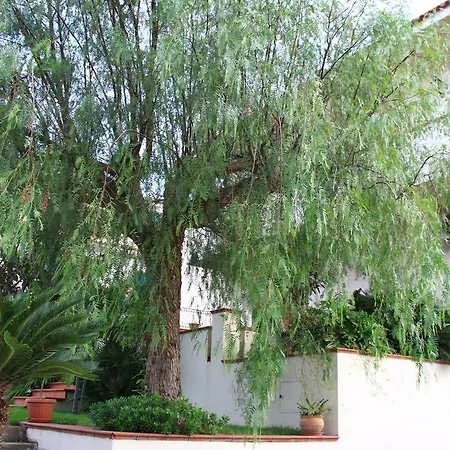 La Piccola Oasi Panzió