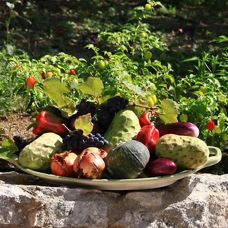 Frühstückspension La Piccola Oasi